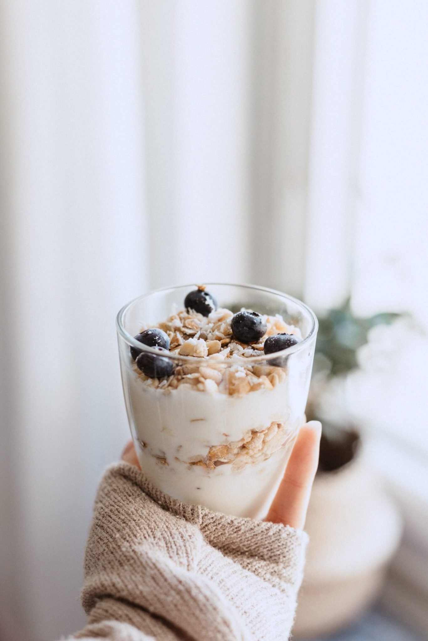 leckeres Jogurt Dessert mit Blaubeeren